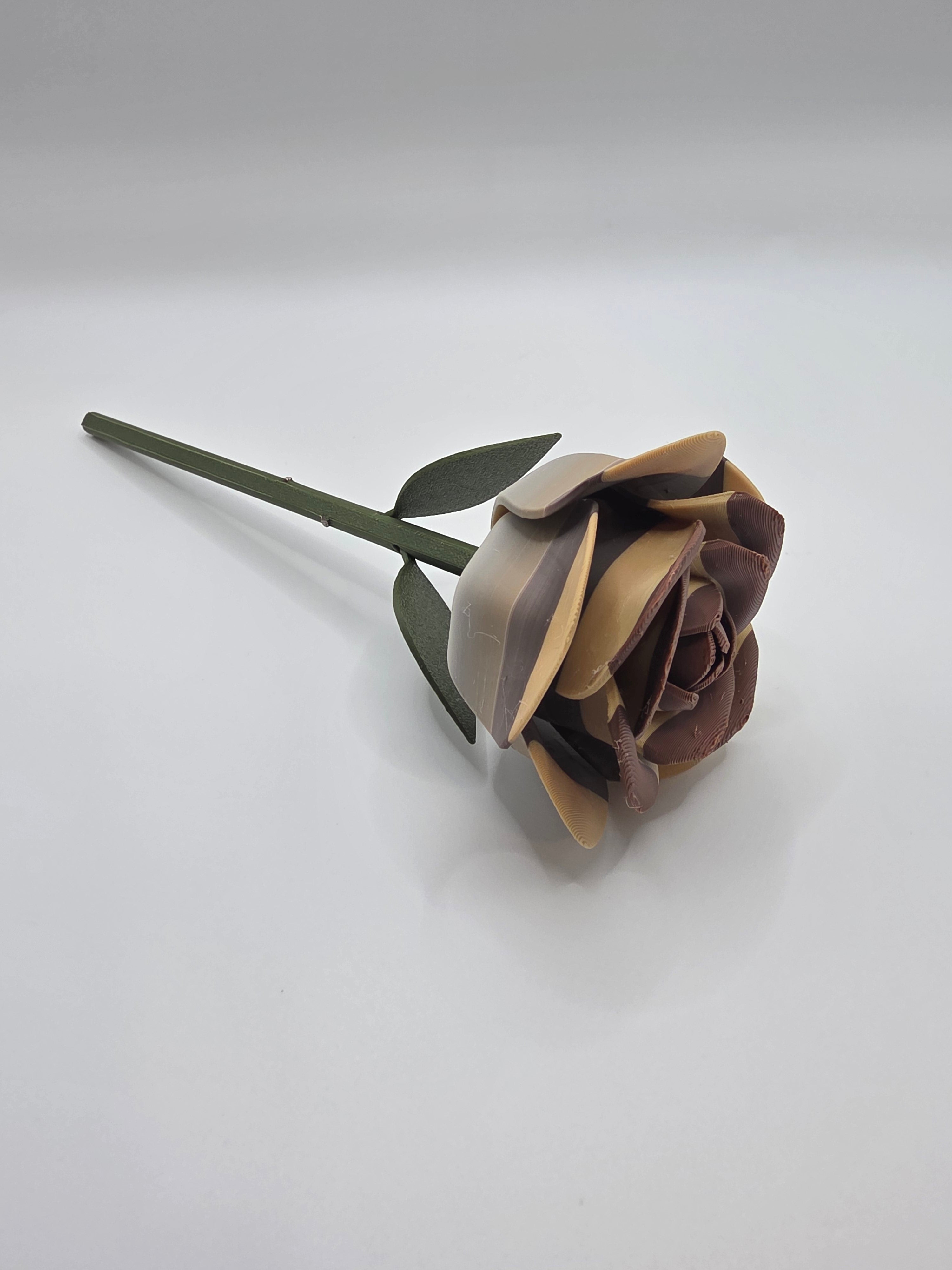 3D Printed Rose - A Flush Object, Multi Colors