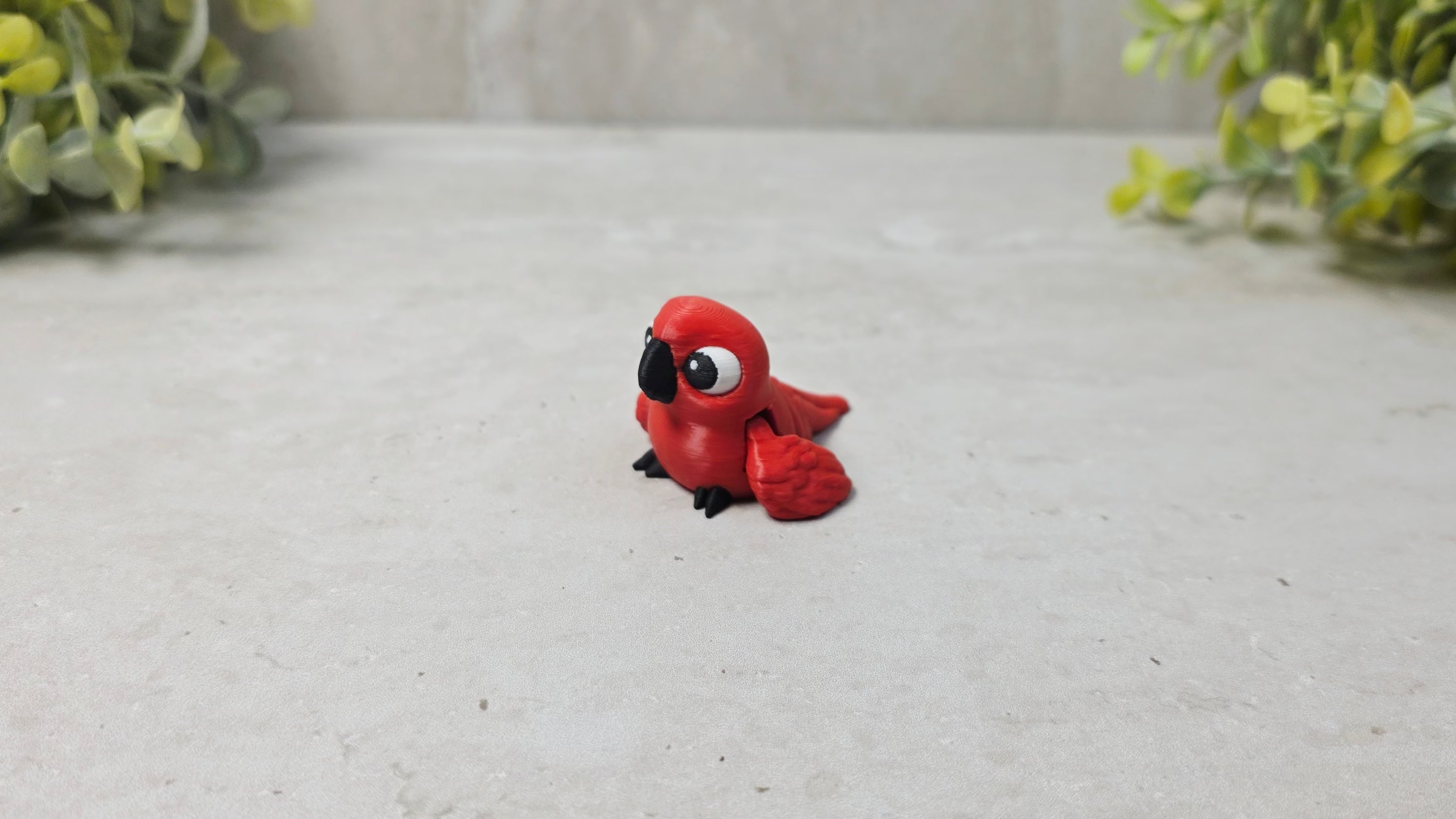 Scarlet Red Macaw
