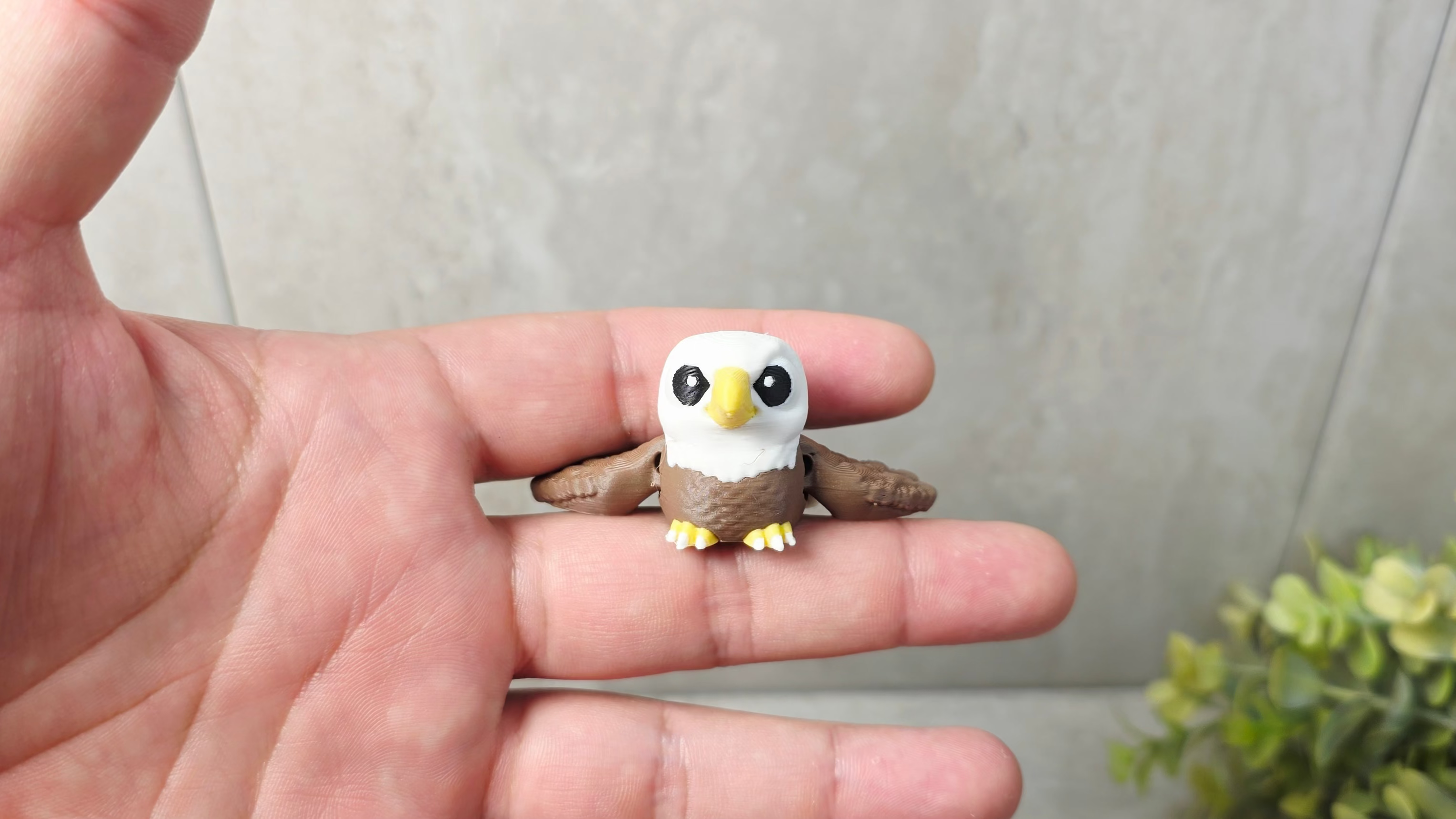 Eagle