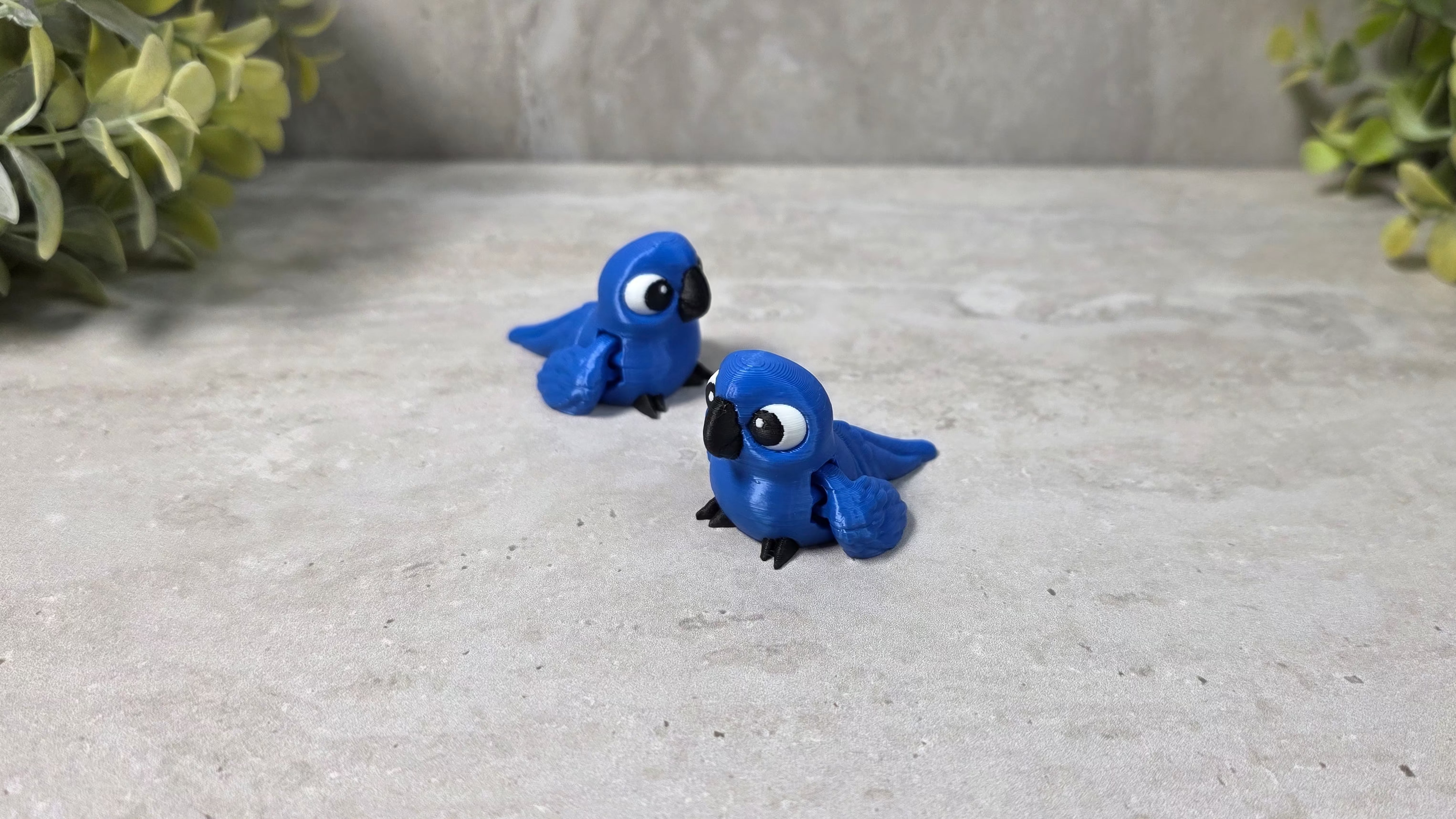 Backyard Birds Collection - Little Buddies
