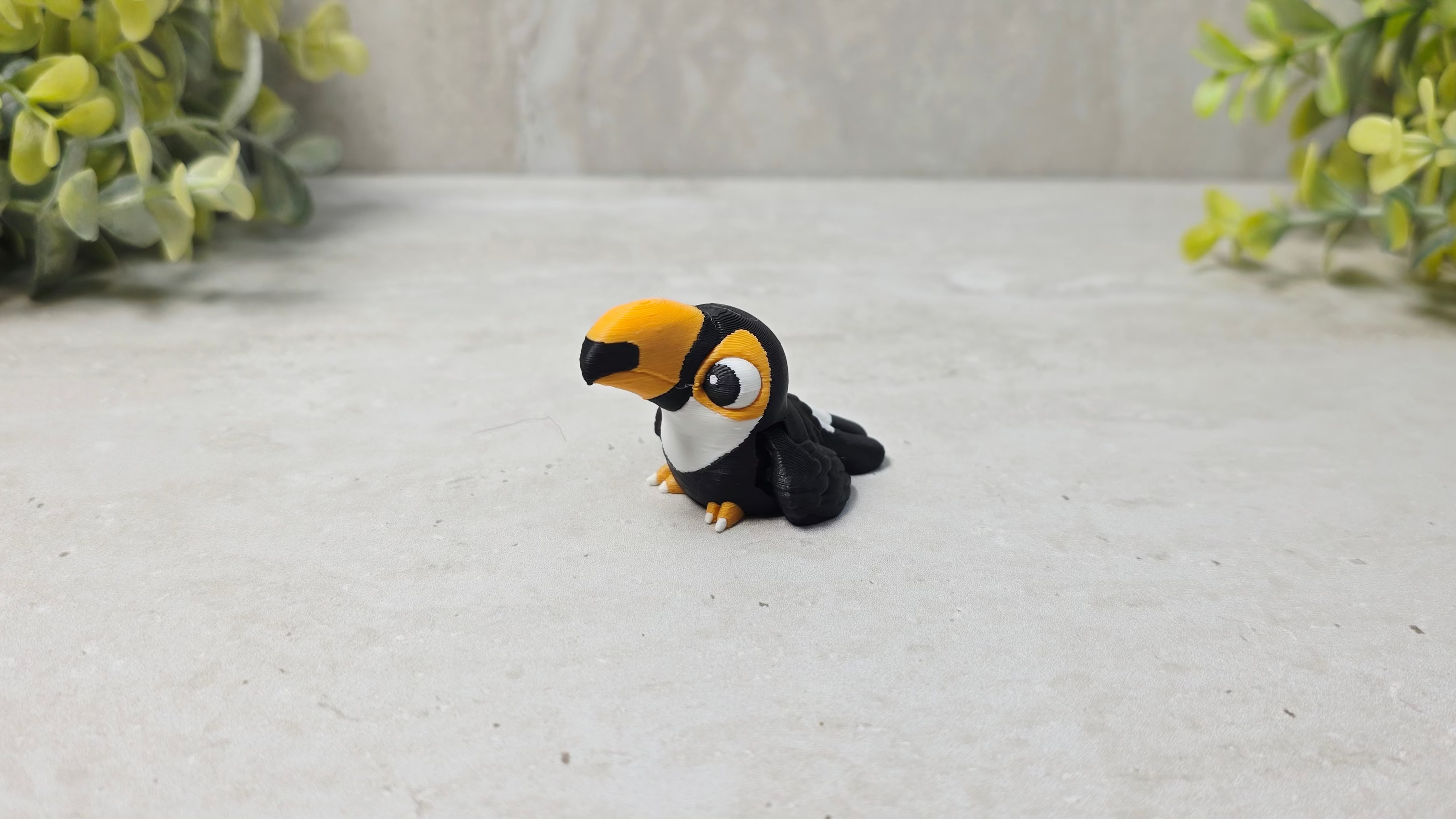 Toucan