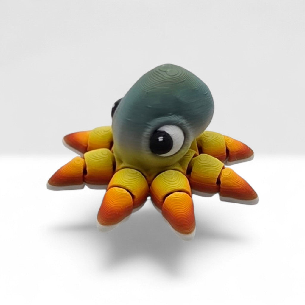 Octopus